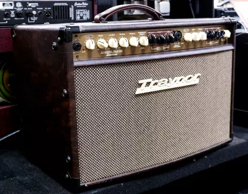 Store Special Product - Traynor - AM Standard 2-Channel Stereo Acoustic Guitar Amp - 150 Watts